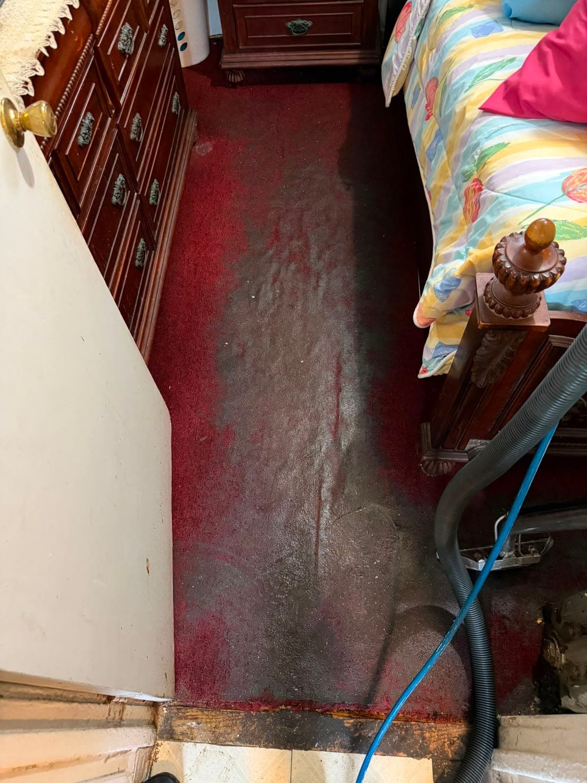 Soiled carpet restored to like-new condition after professional deep cleaning — before