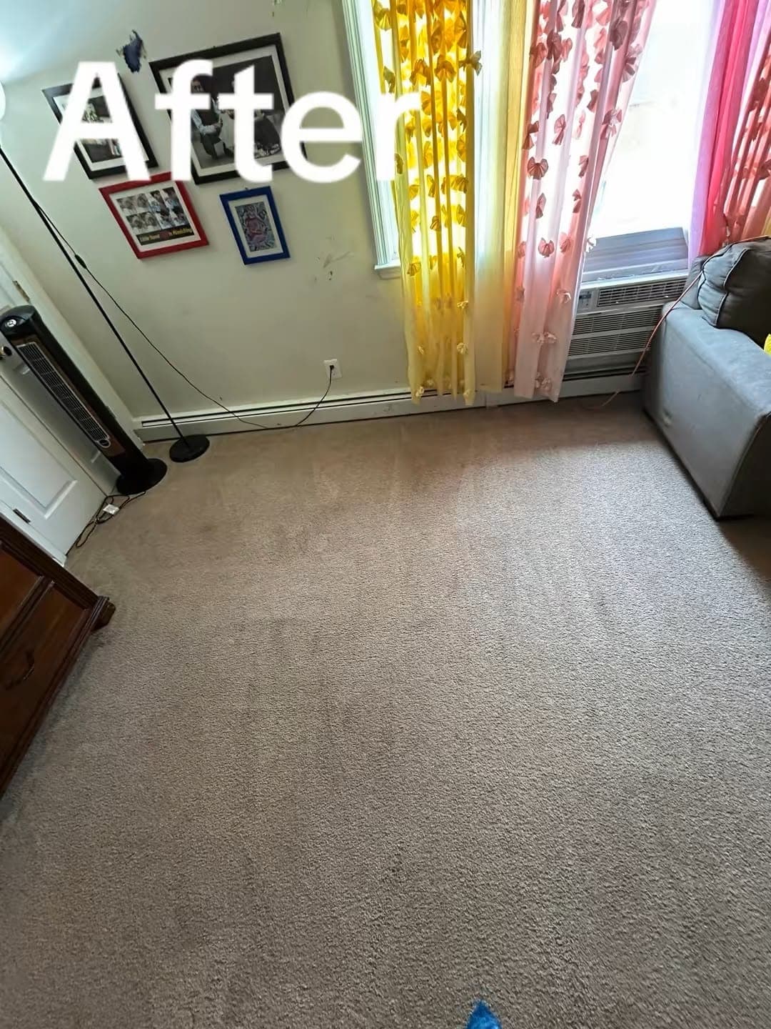 Worn, high-traffic carpet brought back to life by professional hot-water extraction — after