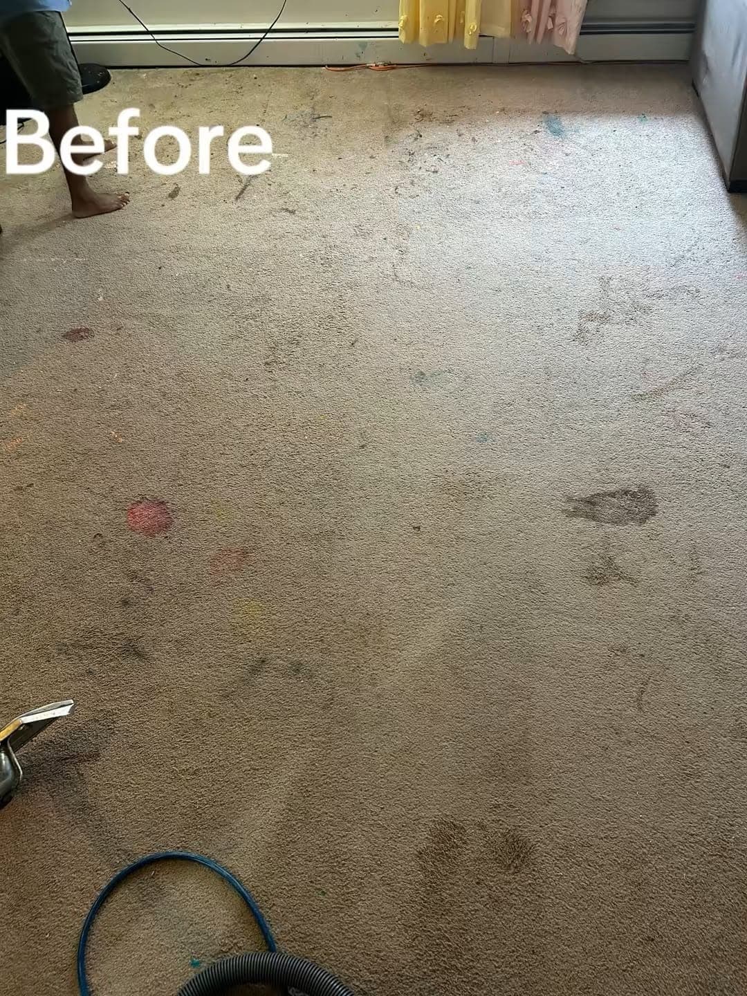 Worn, high-traffic carpet brought back to life by professional hot-water extraction — before