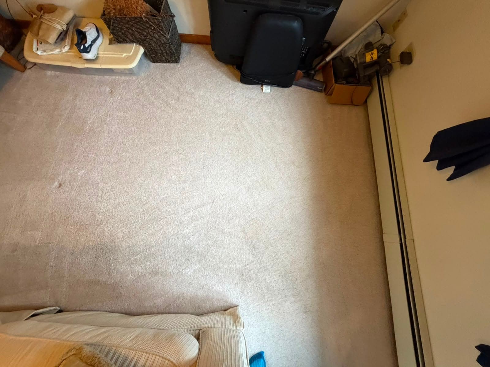 Pet stains and odors removed from carpet by professional treatment — after
