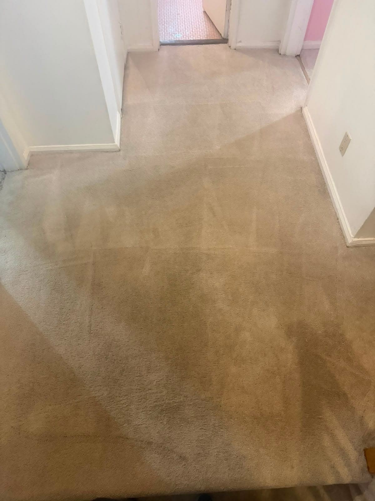 Hallway carpet with heavy dark staining completely removed after professional deep cleaning — after