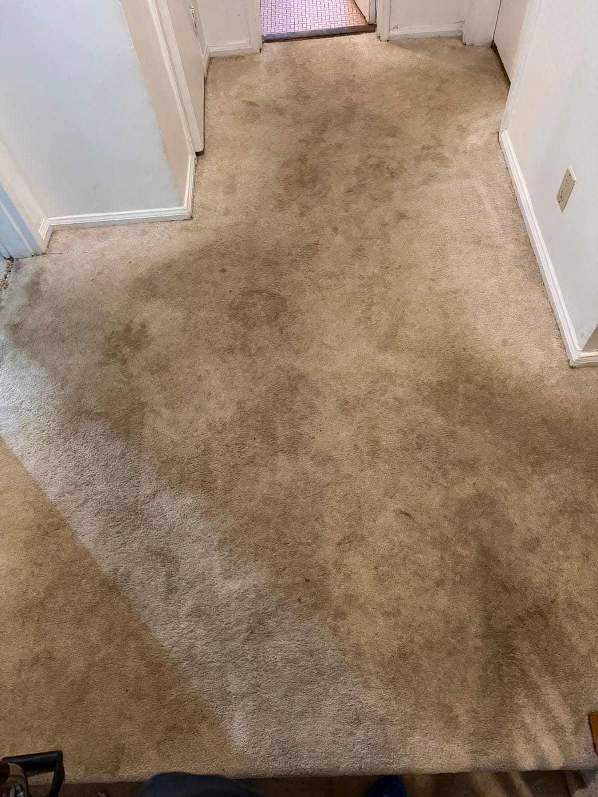 Hallway carpet with heavy dark staining completely removed after professional deep cleaning — before