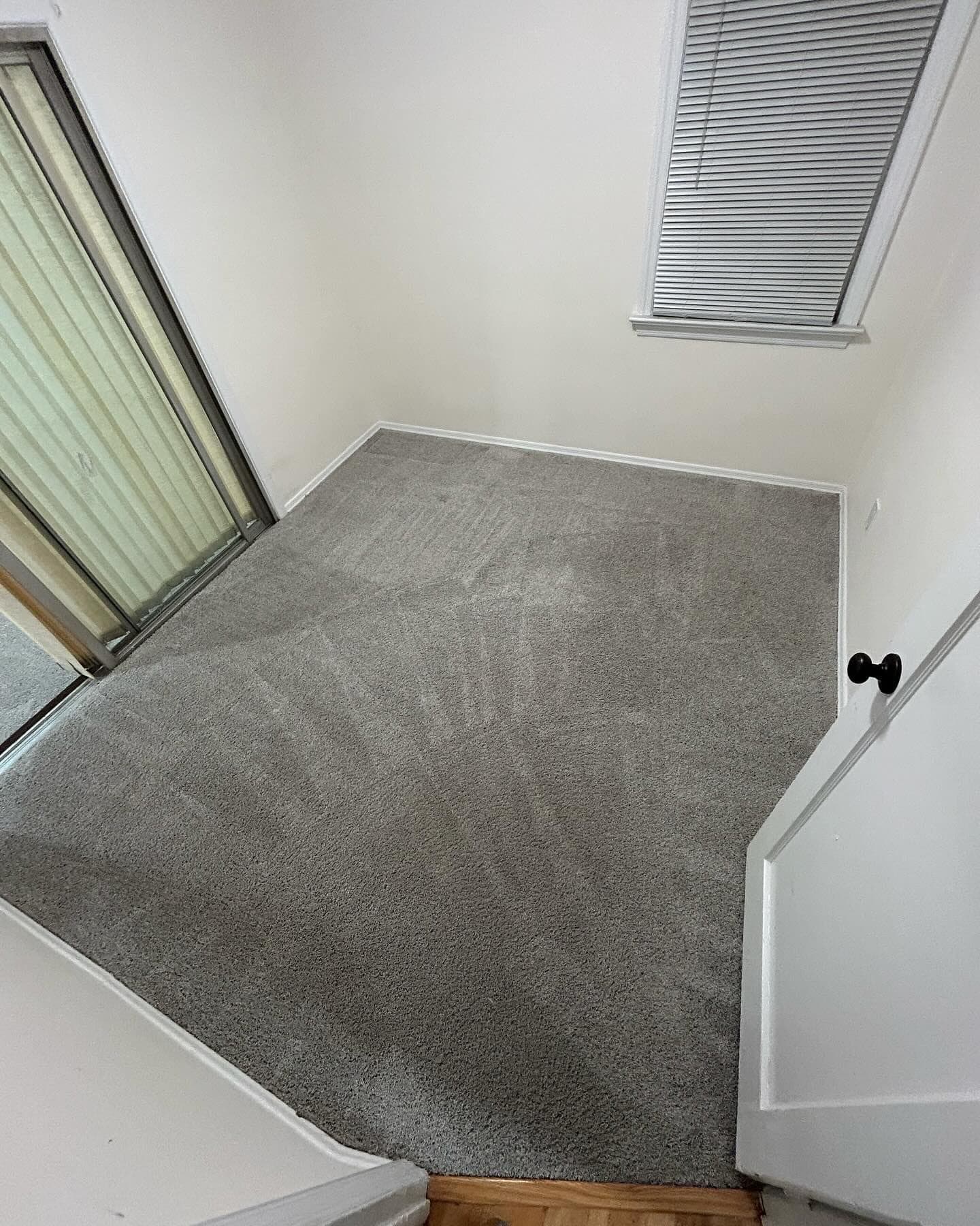Freshly deep-cleaned grey carpet